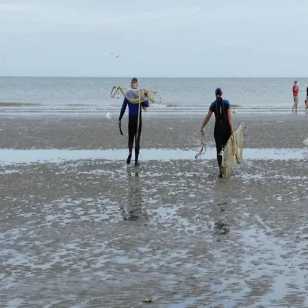 In Belgium With Sea View, Cleaning Included