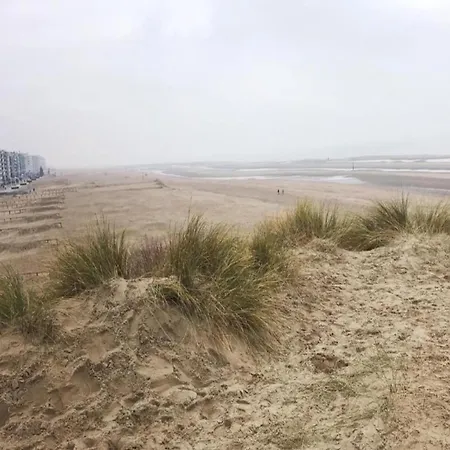 In Belgium With Sea View, Cleaning Included Koksijde