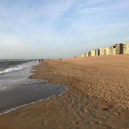 Apartamento In Belgium With Sea View, Cleaning Included